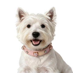 Iridescent Shiny PU Leather Dog Collar With Heart‑Shaped Charm, Luxury Bling Pet Collar And Leash Set
